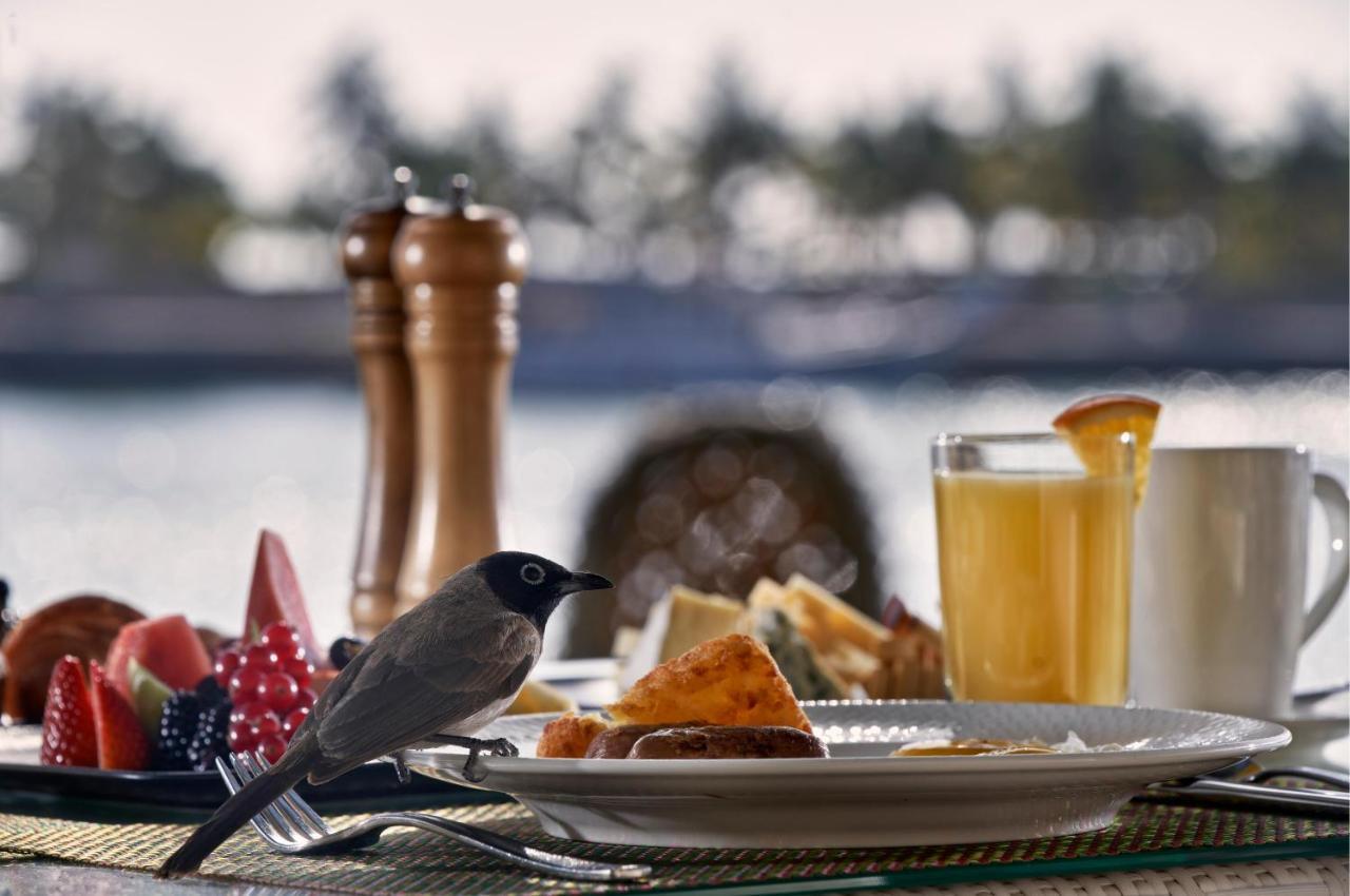 Fanar Hotel & Residences Salalah Exterior photo A bird at a breakfast table